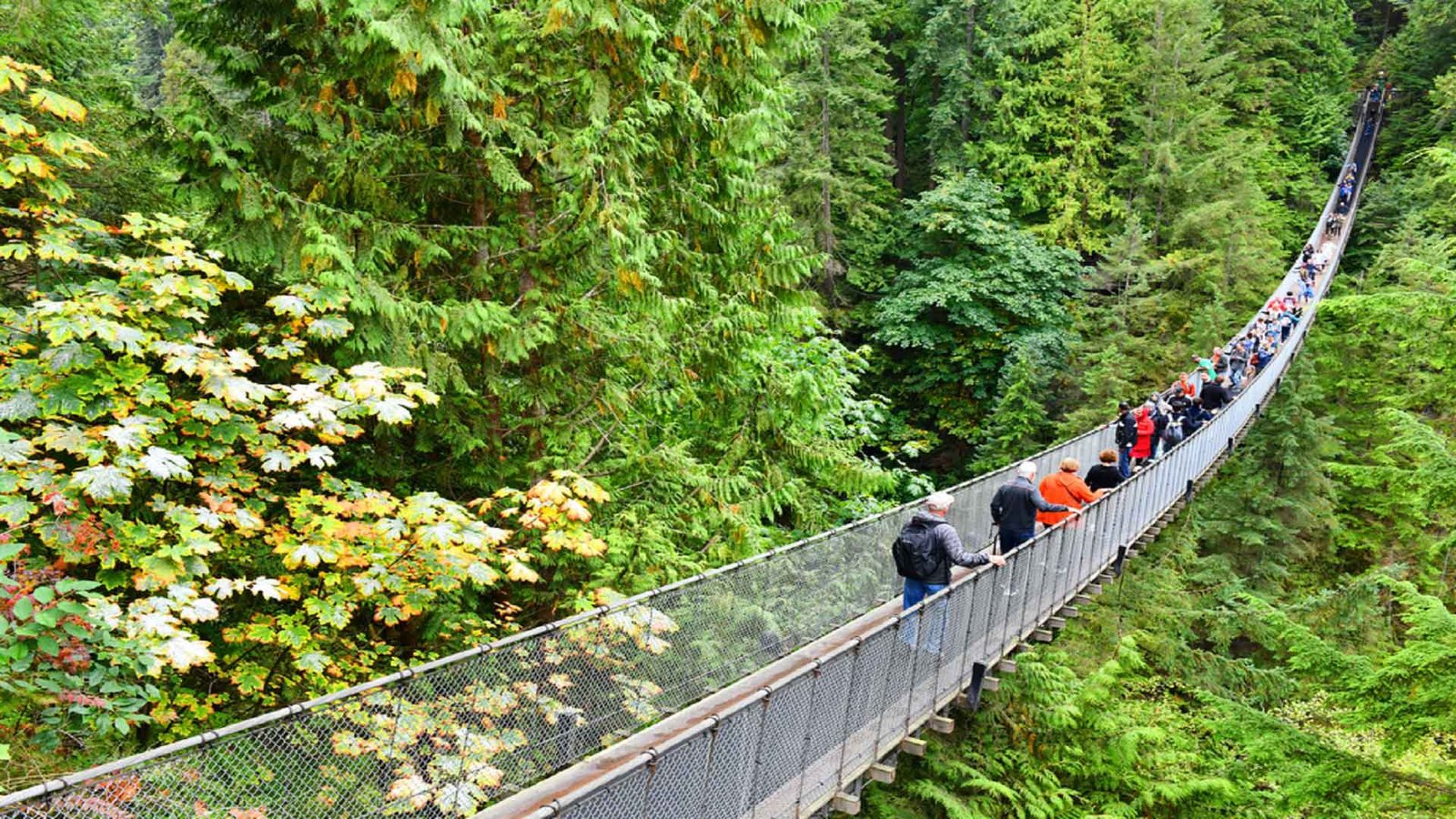 Best Places To Visit In Vancouver Canada Vancouver Vacation Travel Guide Zen Tripstar Canada Vancouver British Columbia Stanley Park